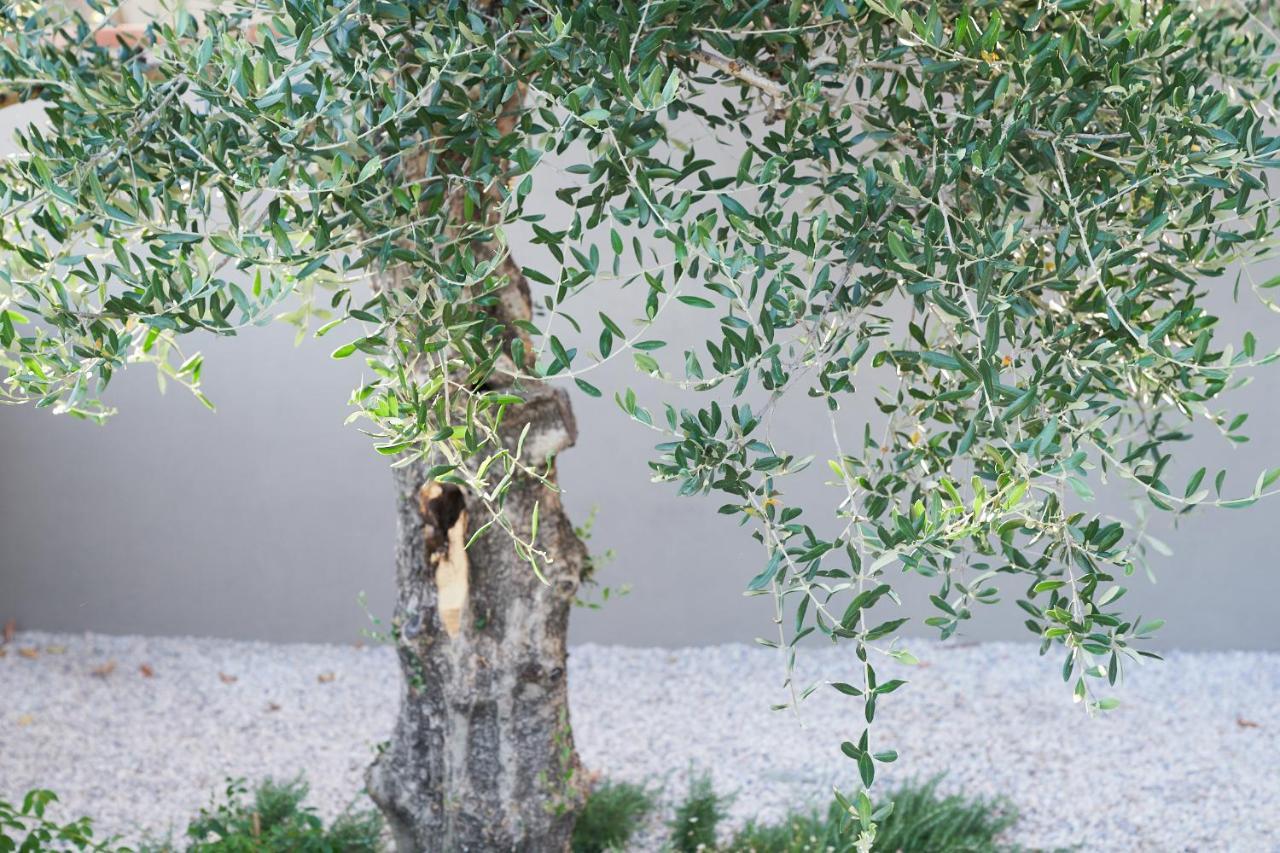 Borgo 69 Villas & Suites Foiano Della Chiana Eksteriør billede